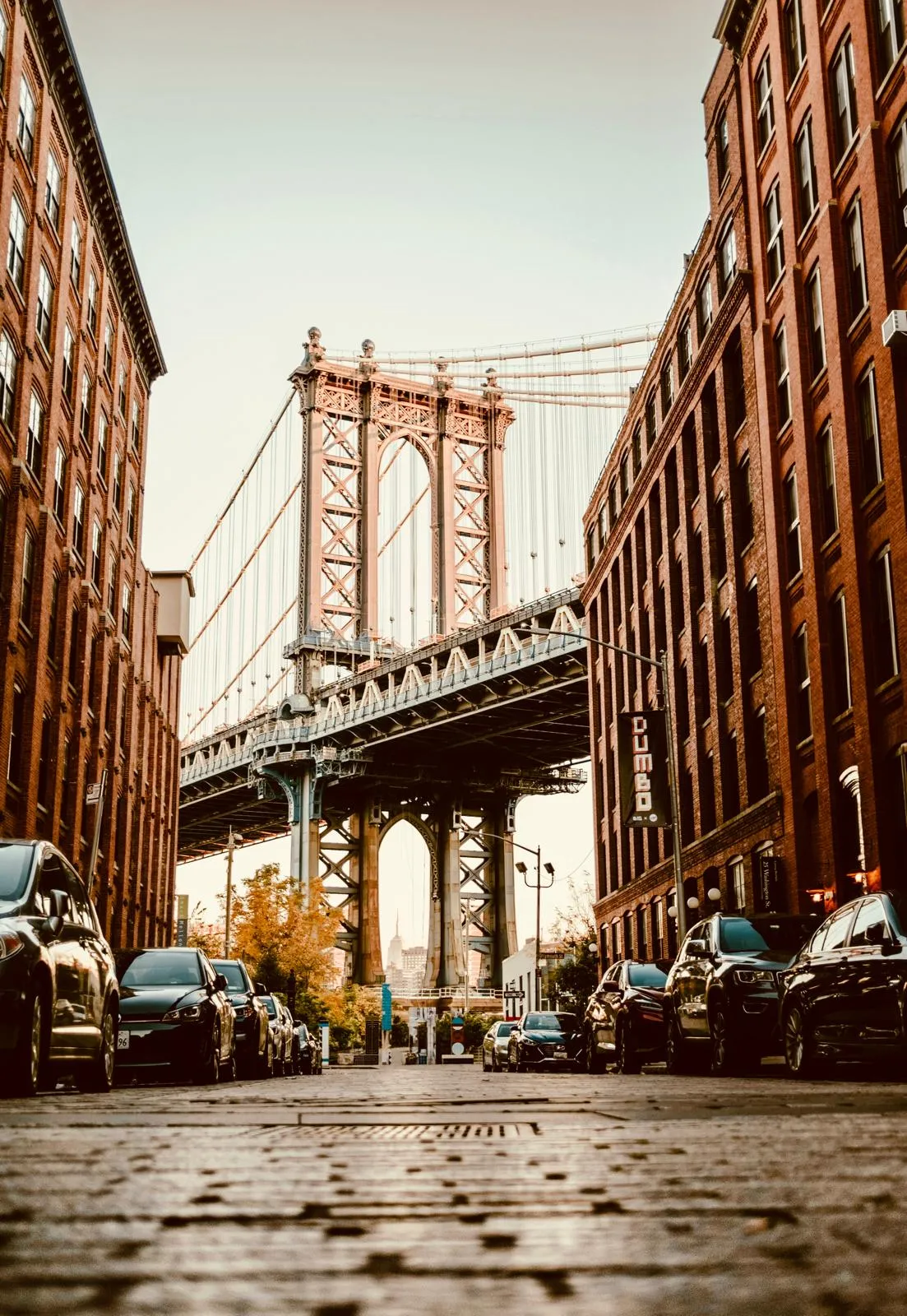 DE TILLY in Brooklyn
