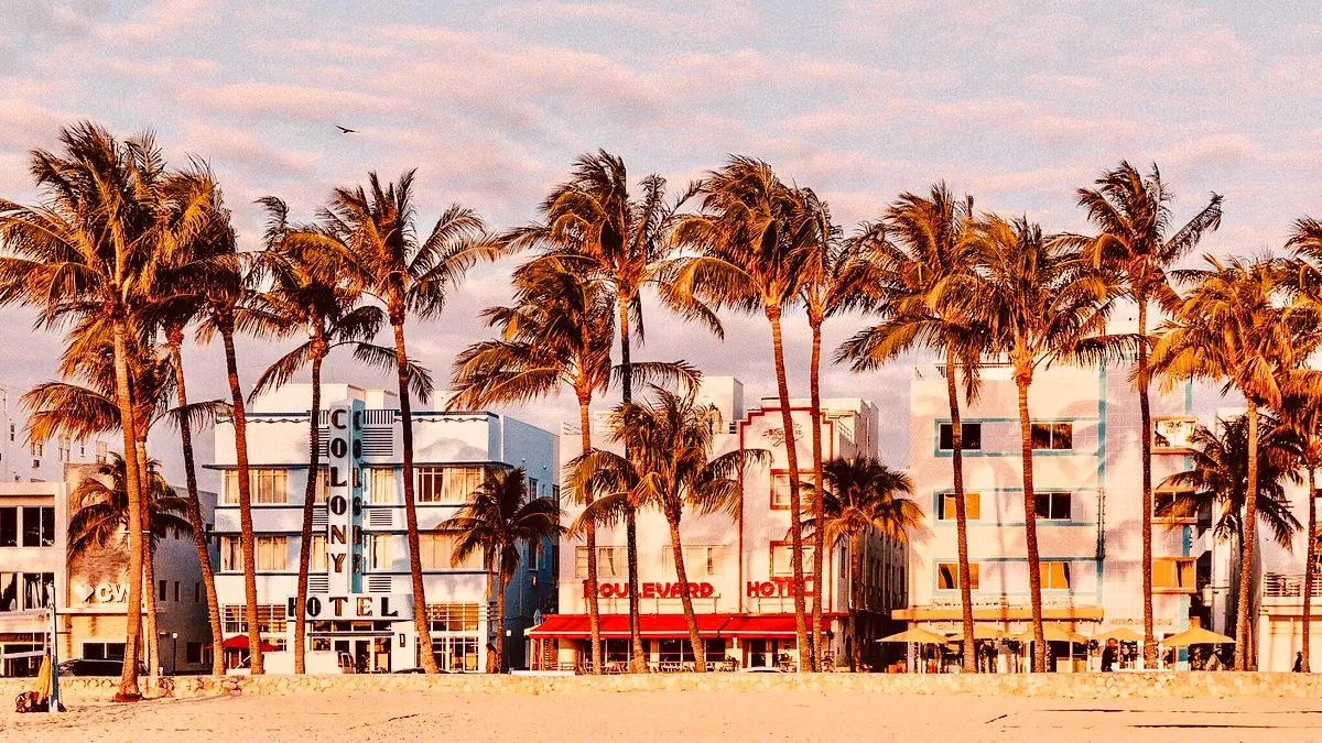 DE TILLY in Miami